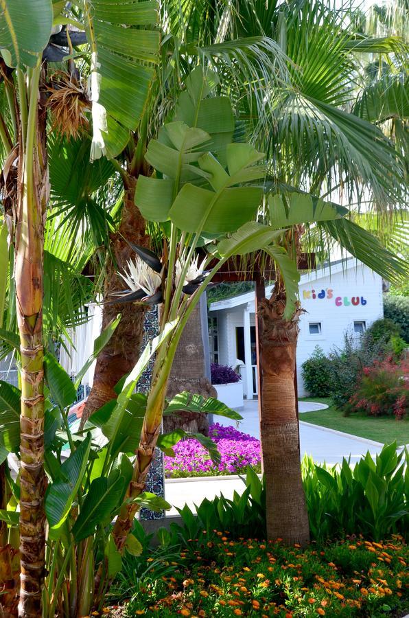 Calimera Hotel
